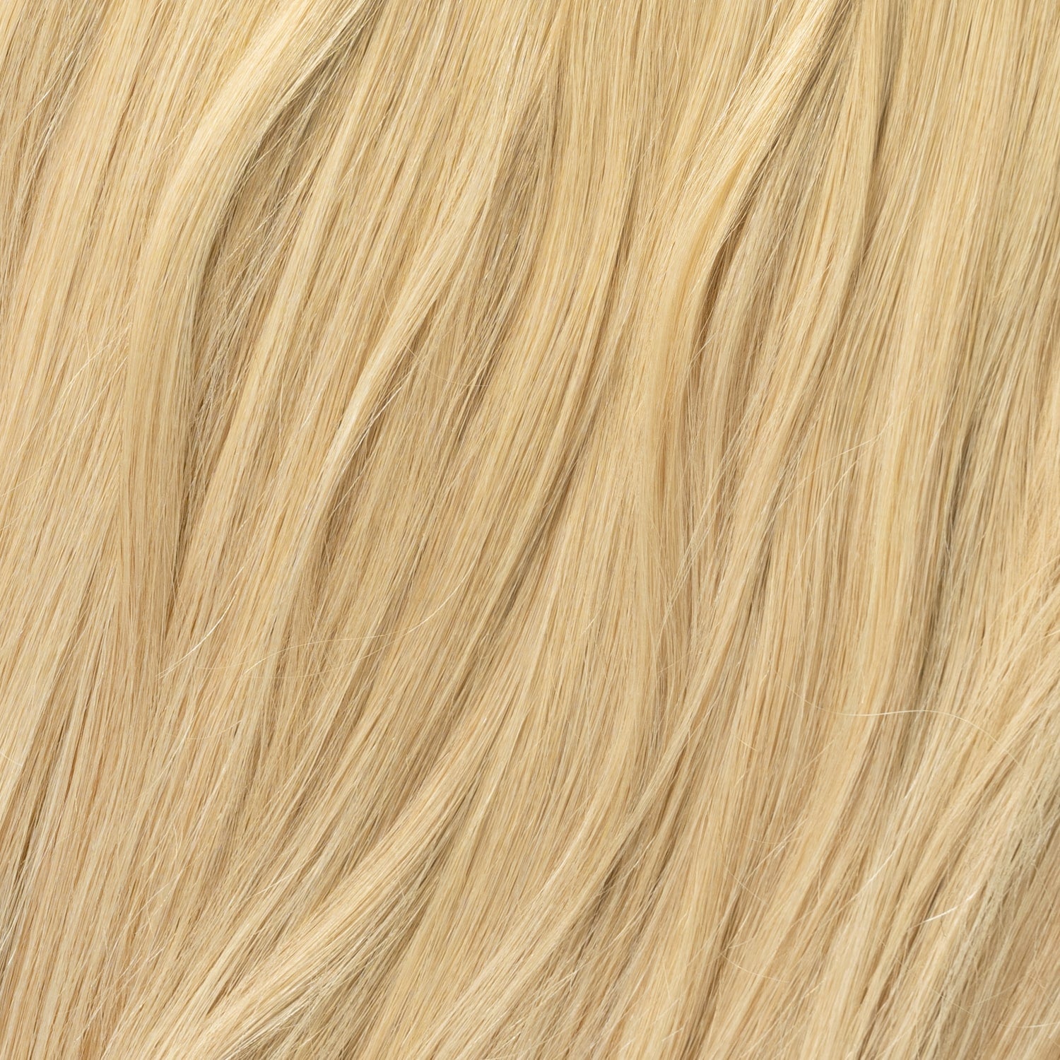 Kucyk - Honey Blonde 15A