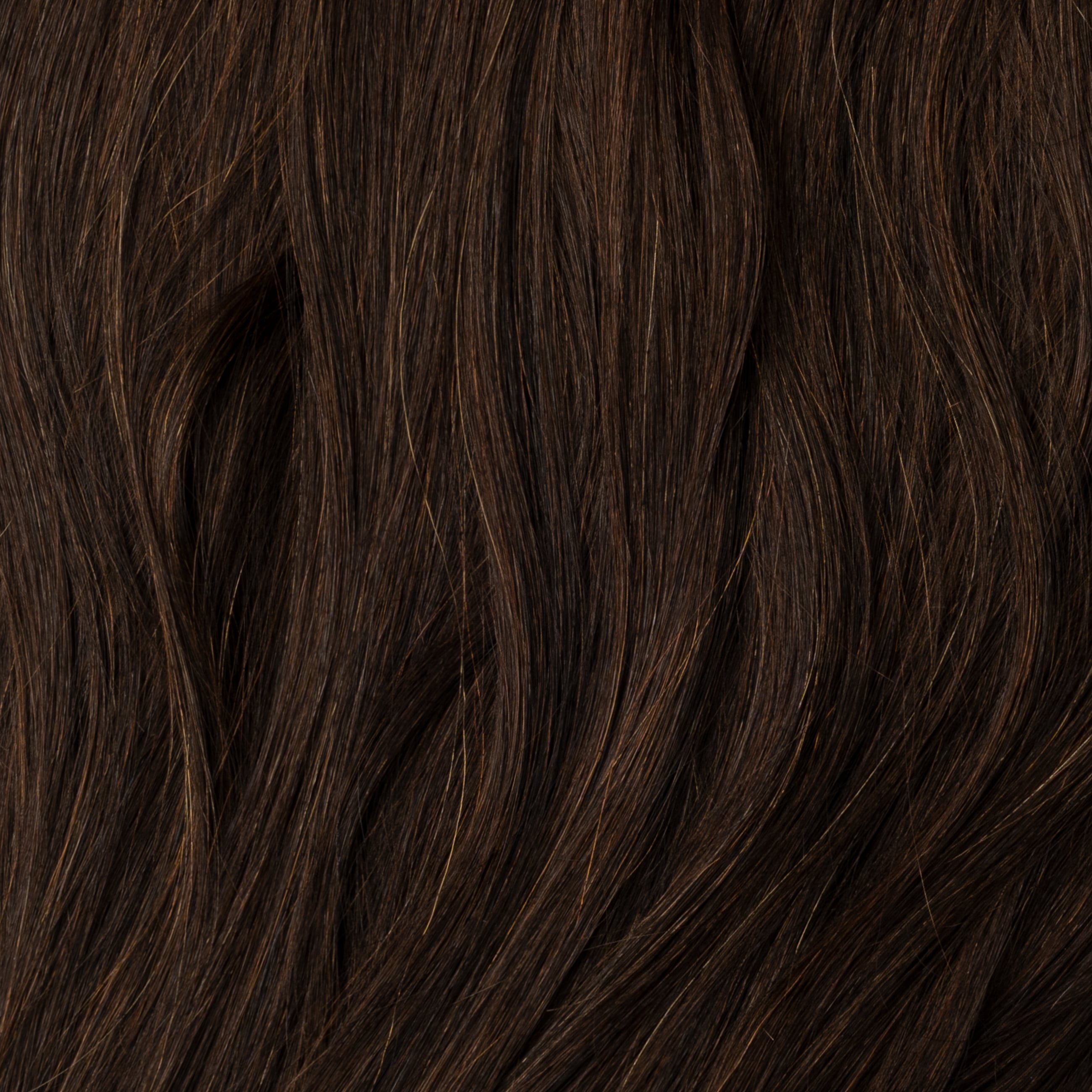 Kucyk - Dark Chocolate Brown 1B
