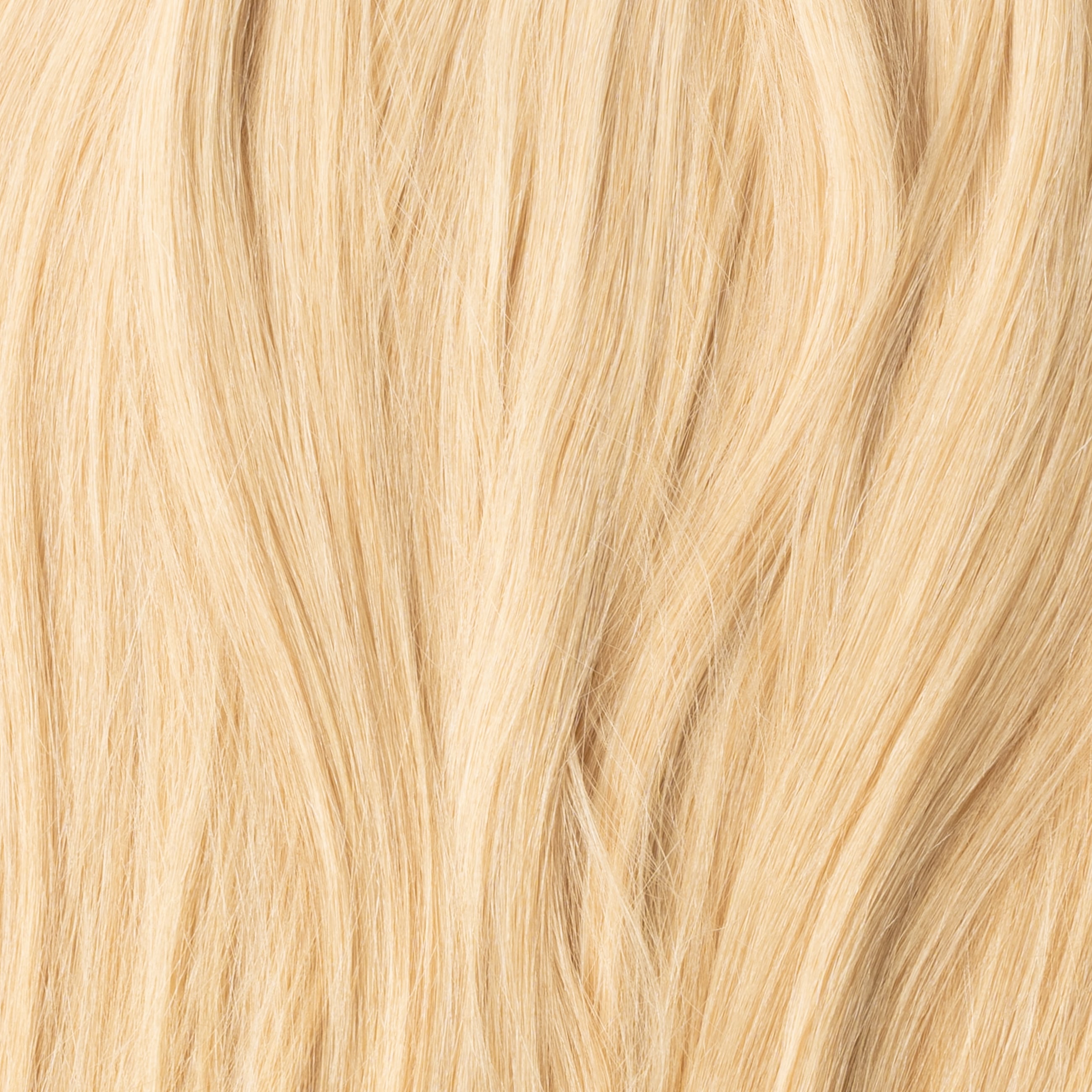 Kucyk - Light Honey Blonde 22