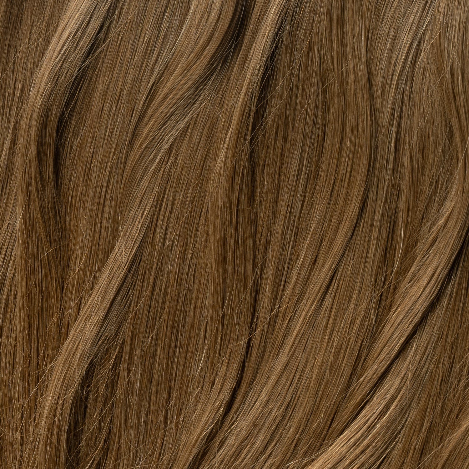Kucyk - Natural Brown 3
