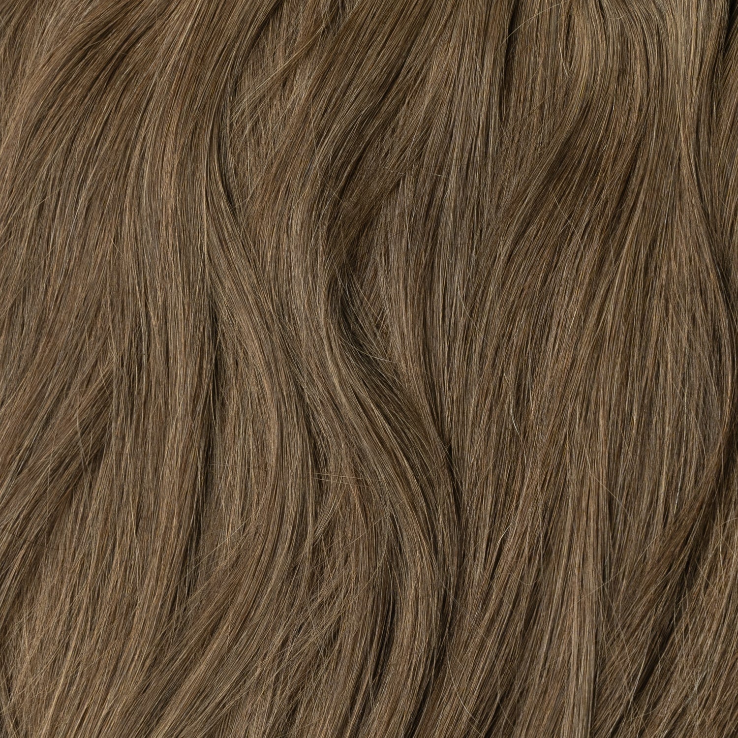Kucyk - Ash Brown 3B