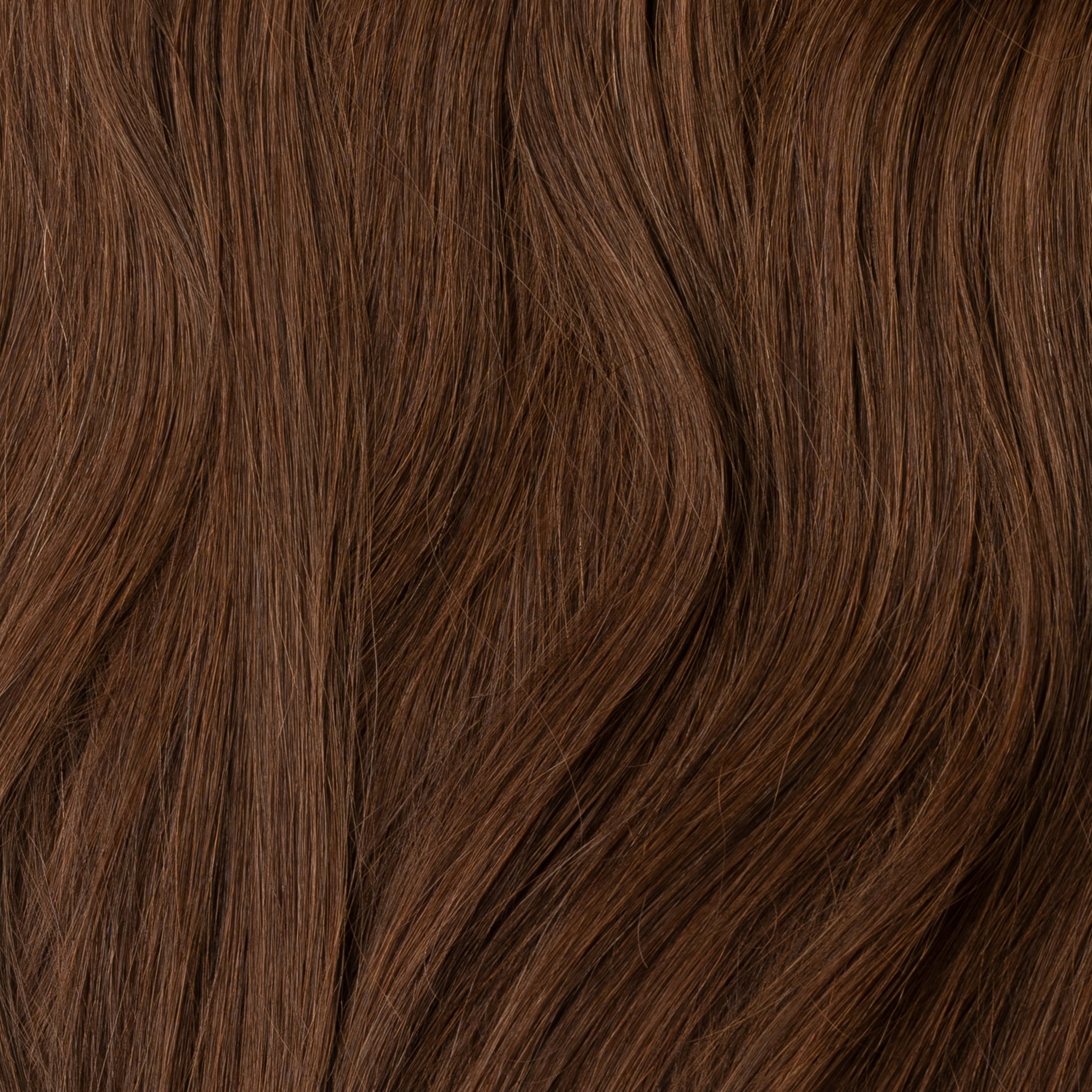 Kucyk - Warm Brown 4