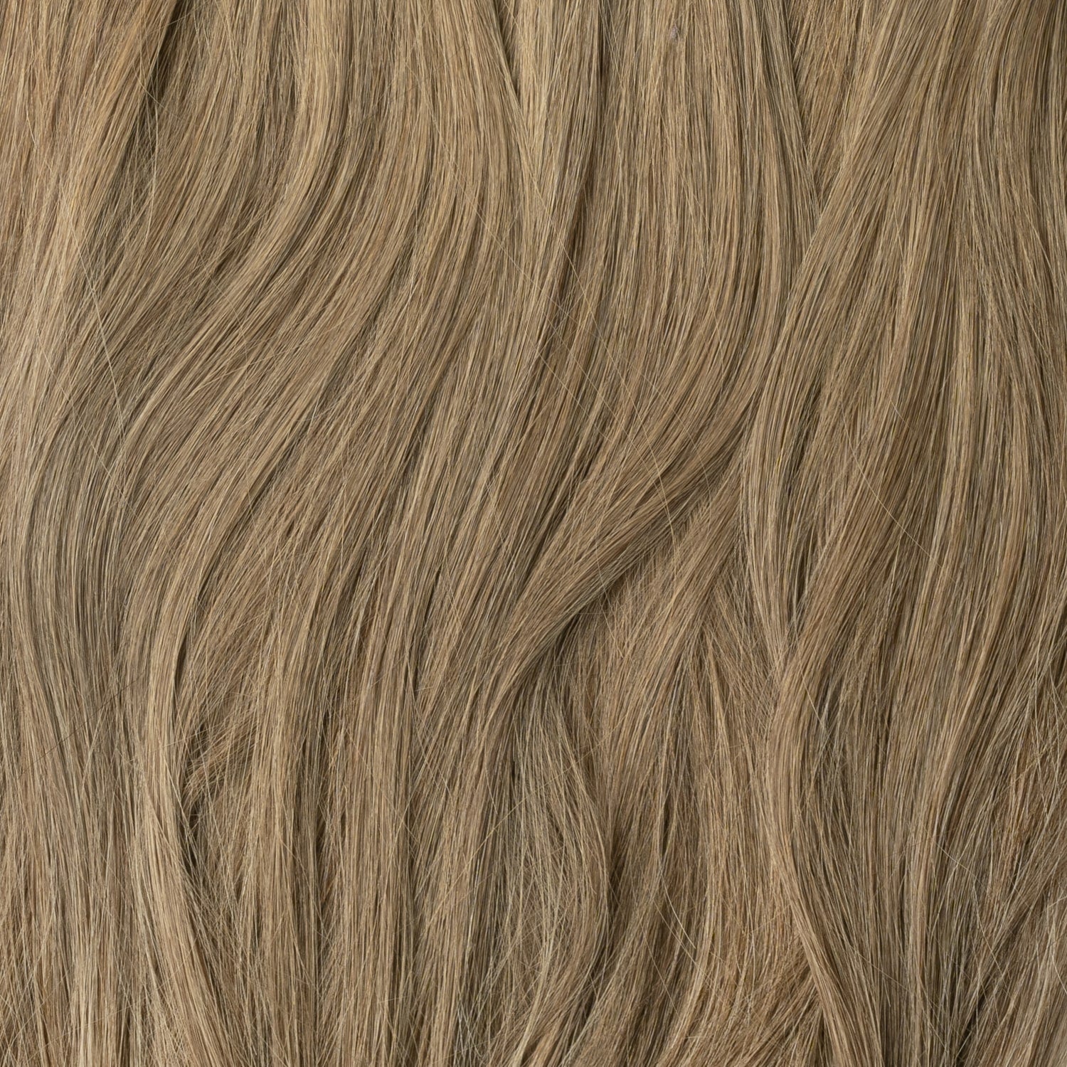Kucyk - Light Ash Brown 5B