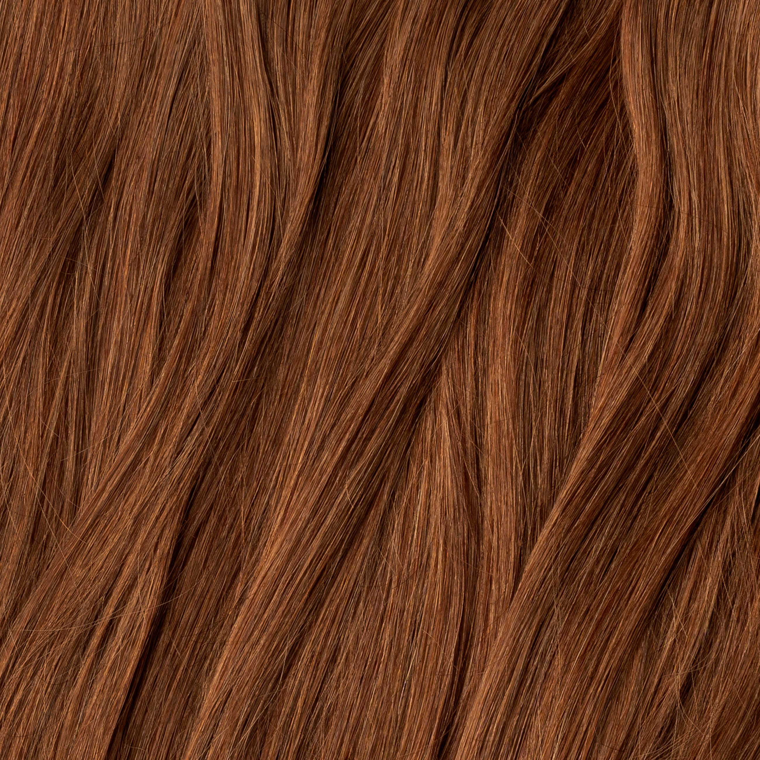 Kucyk - Chestnut Brown 6