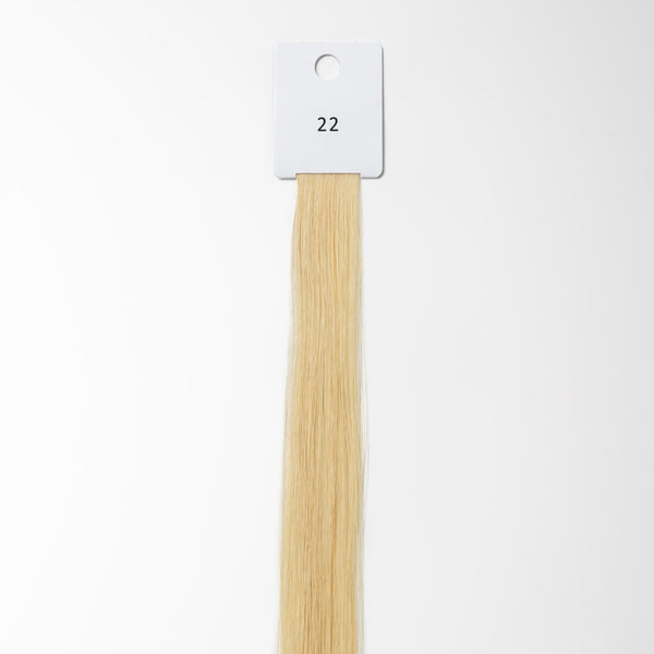 Color sample - Light Ash Brown 5B