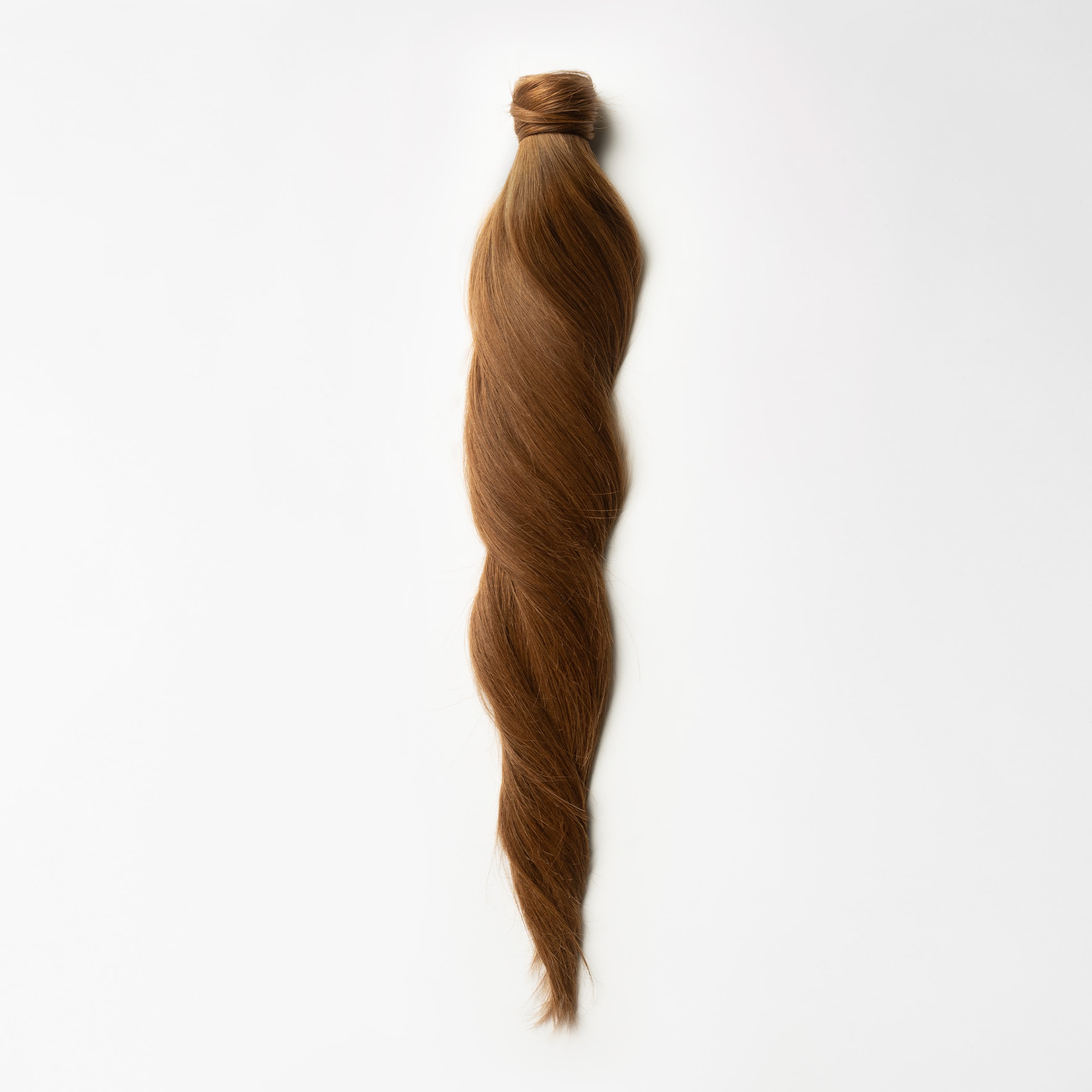 Kucyk - Chestnut Brown 6